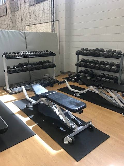 Reynolds gym weight bench