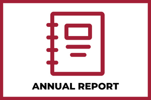 annual report icon