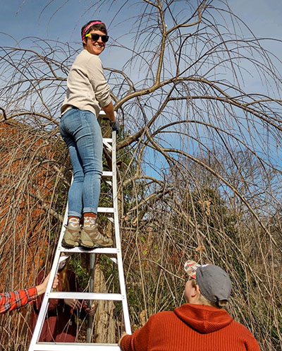 Kimberly in Horticulture classes on a ladder, trimming a tree 
