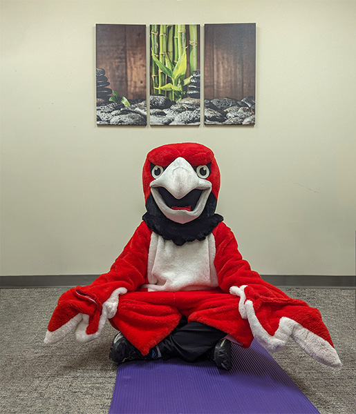 red hawk mascot sits cross legged on a purple yoga mat in the mediation room
