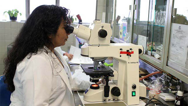 NAACLS-Backed Competencies
