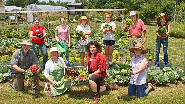 Instructors who are experts in their fields