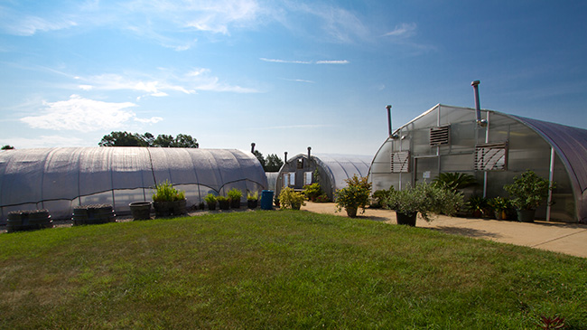 Large greenhouses at the Goochland Campus.